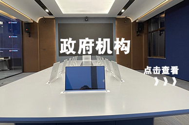 政府工程案例