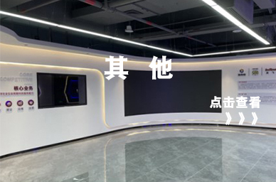 其他案例